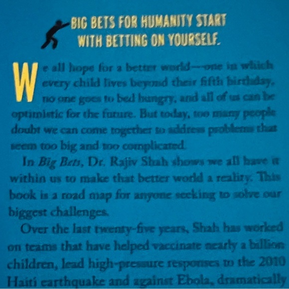 Big Bets: How Large-Scale Change Really Happens - Picture 7 of 7